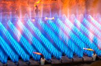Ochtertyre gas fired boilers